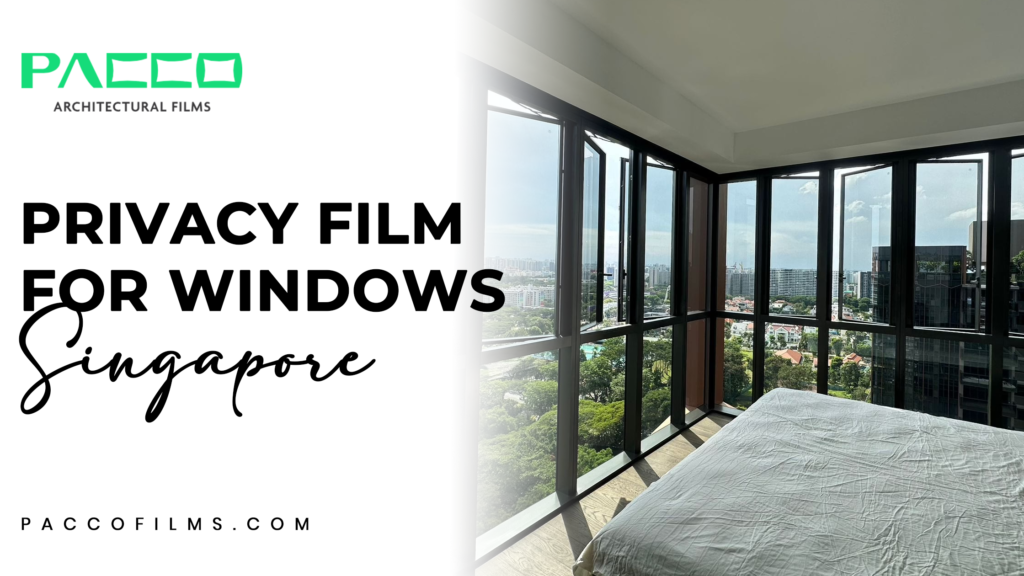 privacy film for windows singapore