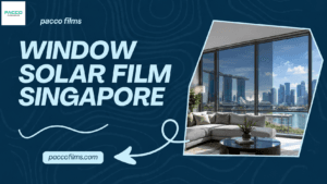 window solar film singapore